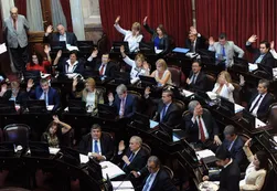 El Senado convirtió en ley el Día Nacional de la Identidad Villera