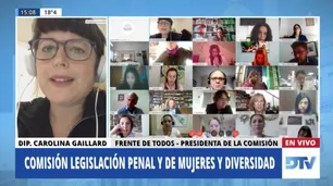 Diputados analizó proyectos sobre justicia penal y género con especialistas