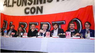 Alberto Fernández recordó anécdotas con Raúl Alfonsín y sumó el apoyo de radicales