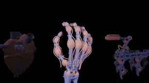 La primera mano robótica casi humana, con huesos, tendones y ligamentos, ya es un hito mundial