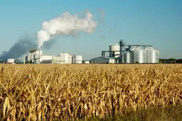 Biocombustibles: se promulgó la nueva Ley, resistida por el campo, que regirá hasta 2030