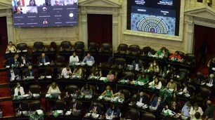 Un diputado pidió la derogación de la ley del aborto