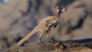 Científicos hallan en Río Negro a un dinosaurio diminuto y reescriben una parte perdida de la evolución