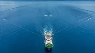 Sudamérica: el espejismo del progreso verde
