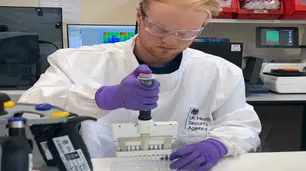Científicos de un laboratorio ultrasecreto "preparan las herramientas" en caso de una pandemia de gripe aviar
