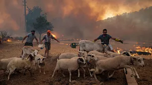 La gran ola de calor en Turquía y Chipre elevó la temperatura a los 50 grados