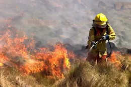 Combaten tres incendios forestales en Córdoba