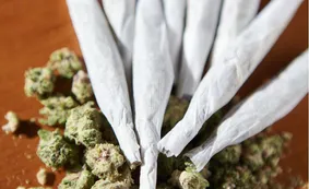 El departamento de Justicia de EE.UU. flexibilizará las restricciones a la marihuana