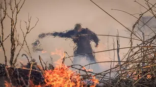 Ambientalistas acusan a Entre Ríos por "complicidad" en los incendios de los humedales