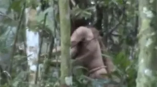Murió el "hombre más solo del mundo": llevaba casi 30 años aislado en la Amazonía brasileña