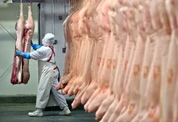 Trabajadores de la carne cobrarán bono de fin de año de 20 mil pesos