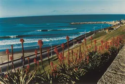 Mar del Plata en imágenes