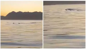 Querían meterse al Lago Nahuel Huapi en Neuquén, pero ¿una criatura mitológica se los impidió?