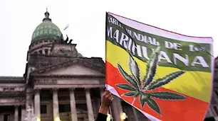 Venta libre, autocultivo y borrón penal: la Izquierda presentó un proyecto para legalizar la marihuana al 100%