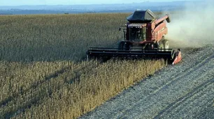 Campo: cuáles son los reclamos del sector en esta campaña electoral