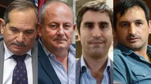 Denuncias sin distinción partidaria: cómo están las otras causas por abuso en política