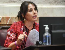 Denuncian por cohecho a la senadora Lucila Crexell y la causa cayó en el juzgado de Ariel Lijo