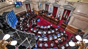 Aborto legal minuto a minuto: seguí en vivo el debate por el IVE en el Senado