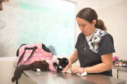 Más de 10.000 vecinos y vecinas ya atendieron a sus mascotas en la Clínica Veterinaria Municipal de Ituzaingó