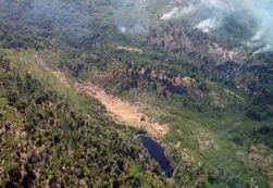 Incendio en Chubut: se suman recursos de La Pampa, Mendoza y Buenos Aires
