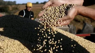 Al 'dólar soja' le quedan 5 días, pero el Gobierno señaló que incluirá a operaciones que luego se terminen en octubre