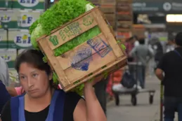 La lechuga se vende a $8000 el kilo: ¿por qué subieron tanto las verduras?