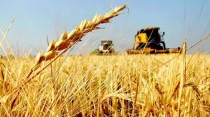 Alerta para el campo: un revés climático podría ser crítico, aseguran desde la Mediterránea