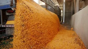 Desde el agro confirman que, “las ventas del dólar exportador no fueron tan significativas”