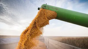 El campo para por tres días contra la prohibición de exportar maíz