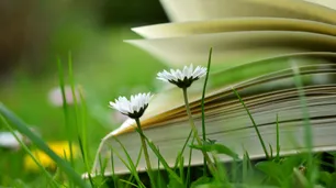 El placer de leer, siempre (segunda entrega)