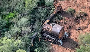 Chaco perdió más de 8.600 hectáreas de bosque nativo en 2025