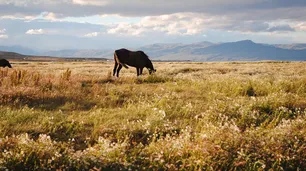 Santa Cruz: ambientalistas reclaman el fin de una ley que prohíbe proteger la naturaleza