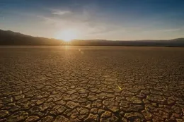 Por qué el cambio climático hace que nazcan menos varones