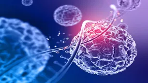 Hasta que el ADN dijo basta: el experimento que encontró el límite de la clonación