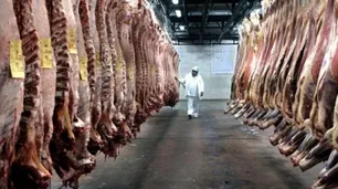 Alarma en los frigoríficos exportadores por la caída de los precios internacionales de la carne