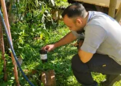 Misiones: se realizaron acciones de prevención y control del Aedes aegypti en distintos puntos de la provincia
