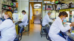 Cooperación o des-globalización