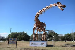 Instalan en una plaza de Recoleta una réplica exacta del dinosaurio más grande del mundo