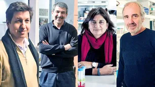 Peirano, Salvarezza, Franchi y Kornblihtt, candidatos a conducir la ciencia argentina
