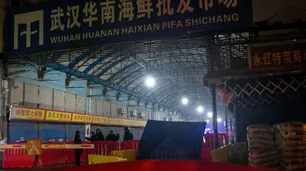 Científicos chinos dijeron que no hay pruebas de que el Covid surgiera en el mercado de Wuhan