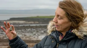 Descubren en Inglaterra un fósil de 350 millones de años cuya forma parece una sonrisa humana