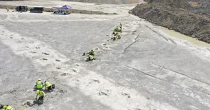 Descubren más de 200 huellas de dinosaurios de hace millones de años