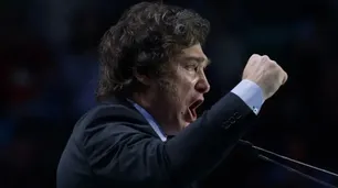 "Mandril", "culo" y "pedo de buzo": especialistas responden por qué Milei insiste con frases vulgares en sus discursos