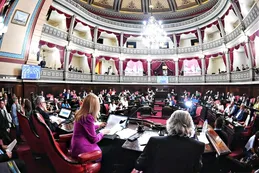 El Senado bonaerense aprobó la reelección indefinida para legisladores provinciales
