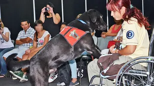 Presas aprenden a entrenar perros de asistencia para discapacitados en Ezeiza
