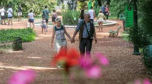 Jardín Botánico, una “enciclopedia viva” de naturaleza con entrada gratuita