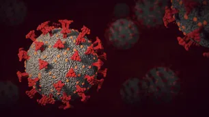 Hallaron en Francia una nueva variante del Covid-19, una "prima lejana" de Ómicron