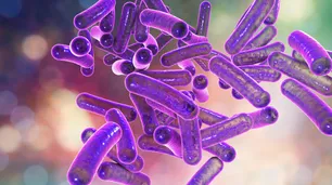Qué es la shigella, la bacteria que le causó la muerte por comer achuras a dos hombres en Berazategui