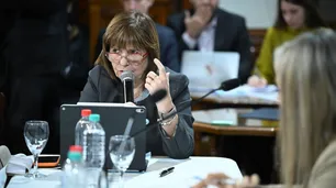 El Senado sesiona mañana sin el pliego de Michelli pero con la interna libertaria todavía abierta