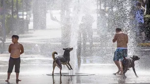 El verano que se viene: olas de calor y poca lluvia para las zonas más pobladas del país